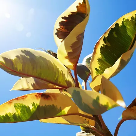 Luna Mar - Magnificent Sea Views - Private Pool - Hot Tub *