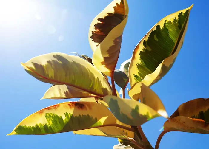 Luna Mar - Magnificent Sea Views - Private Pool - Hot Tub *